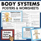 Human Body Parts Worksheets | Teachers Pay Teachers