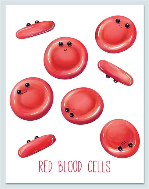 Red Blood Cells / Wall art print / biology / cute / fun