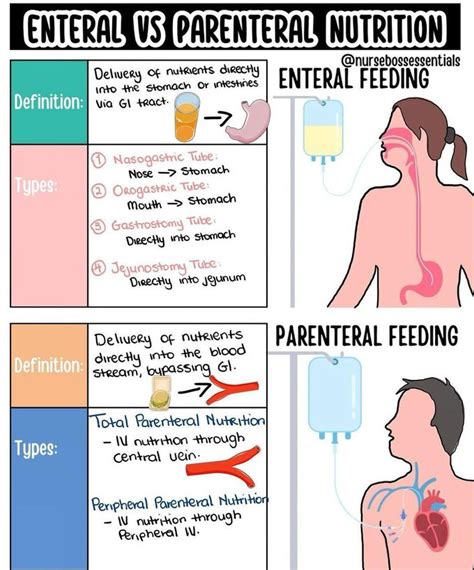 Enteral Vs Parenteral Nutrition - MEDizzy