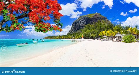 Beautiful Beaches of Sunny Mauritius Island. Tropical Vacations Stock ...