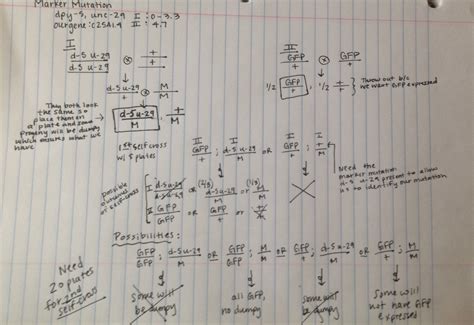 The Block Plan - Colorado College