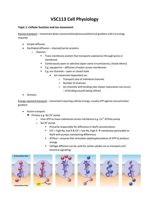 Cell Physiology Complete Notes | VSC113 - Fundamentals of Veterinary Cell Biology - CSU | Thinkswap