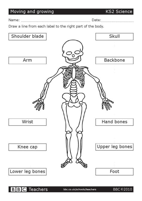 Science Worksheets Ks3 Free Printable | Peggy Worksheets