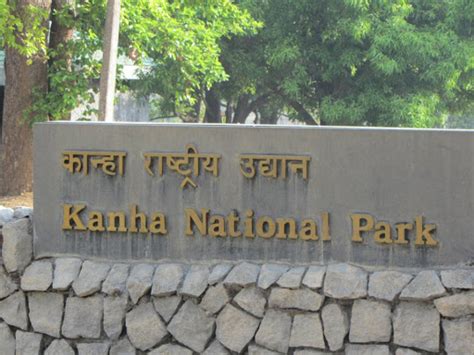 My Visit to the Kanha-Kisli National Park.( Personal Experience ...