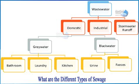 What are the different types of sewage