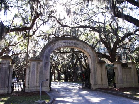 Savannah - Wormsloe Plantation - Singular Scene