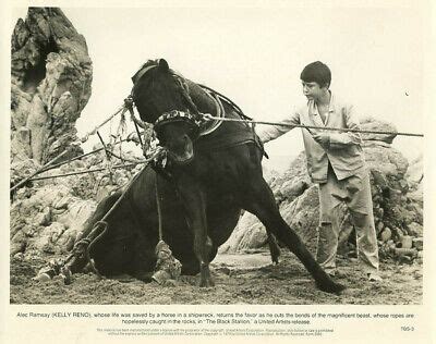 KELLY RENO THE BLACK STALLION ORIGINAL 8X10" PHOTO #A3005 | eBay