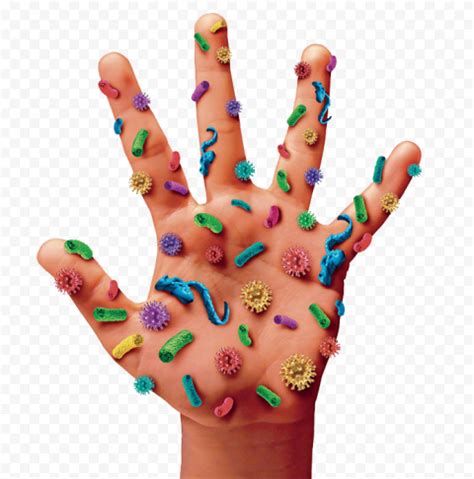 Prevention Infection Hand Germs Bacteria | Citypng