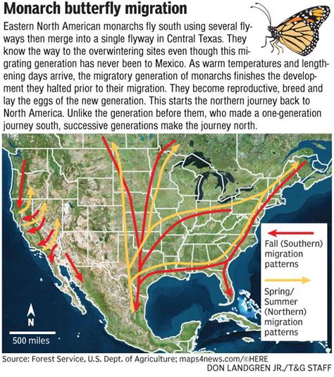 Monarch Butterfly migration map | Monarch butterfly migration, Monarch butterfly habitat ...