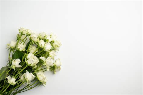 Fresh flowers placed on white table · Free Stock Photo