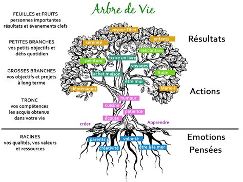 Boostez vos projets avec l’Arbre de Vie