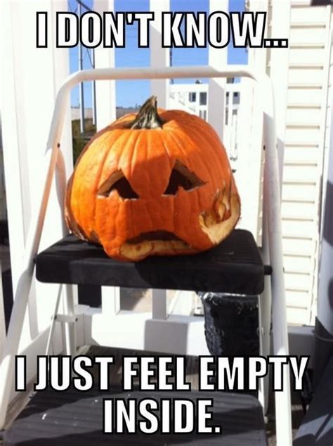 Funny Pumpkin Memes, Puns and Fun | Pumpkin meme, Halloween jokes ...