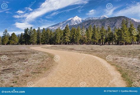 Buffalo Park in Flagstaff, Arizona Stock Image - Image of meadow, southwest: 275676627