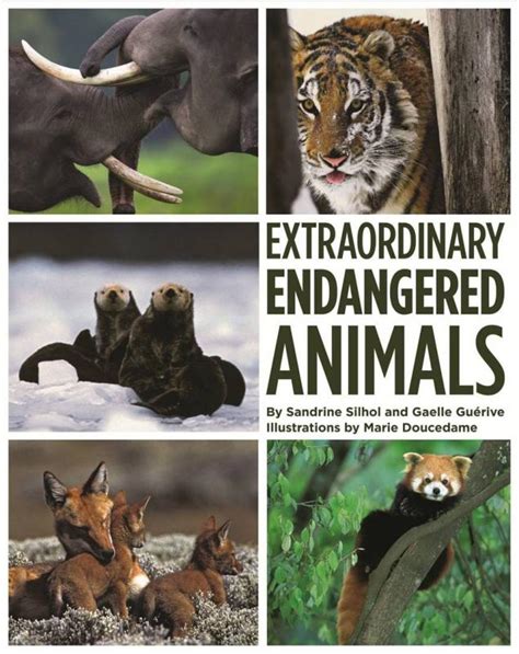 the younger sun: Extraordinary Endangered Animals