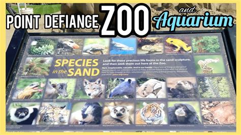 Point Defiance Zoo and Aquarium | Learning the Zoo Animals - YouTube