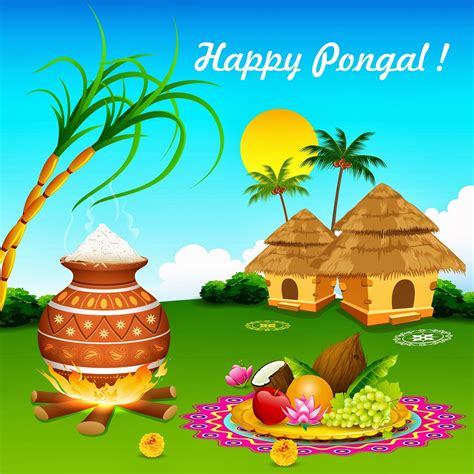 sankranthi (pongal) image collections for free | naveengfx | Happy pongal, Happy pongal wishes ...