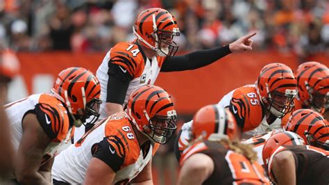 An early look at your Super Bowl LI champion ... Cincinnati Bengals? - Cincinnati Bengals Blog- ESPN