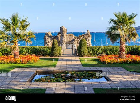 Dorset visitor gardens hi-res stock photography and images - Alamy