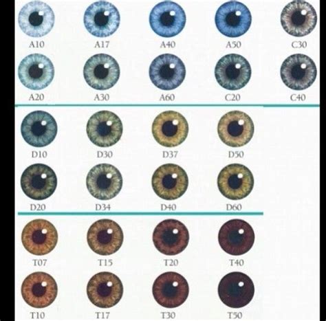 t10,t20,t30 are the only colors my eyes change through. highly depends on my mood so you rarely ...