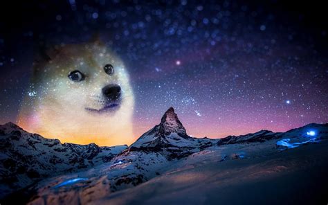 snow, Night, Animals, Doge, Memes Wallpapers HD / Desktop and Mobile ...