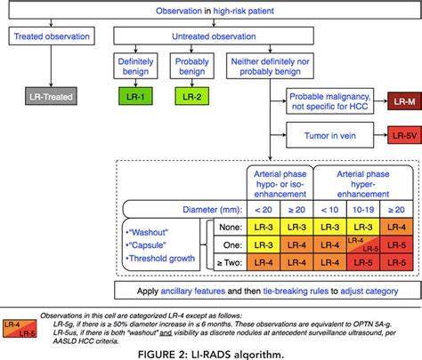 Figure 2 from Cirrhotic liver: What's that nodule? The LI-RADS approach. | Semantic Scholar