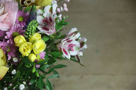 Alstroemeria, Peruvian Lily Stock Image - Image of ornament, peruvian: 69584659