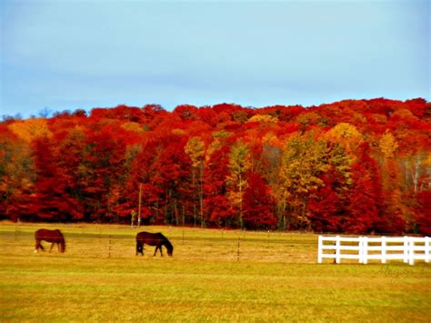 25+ best Wisconsin's Fall Color images on Pinterest | Wisconsin fall ...