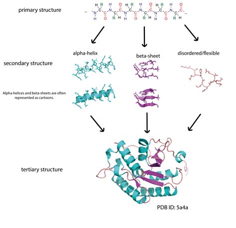 From gaming to cutting-edge biology: AI and the protein folding problem ...