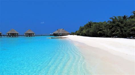 Meedhupparu, Maldives - Maldives Photo (42661542) - Fanpop