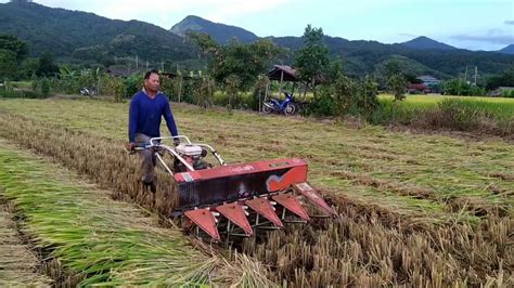 Amazing Modern Technology Rice Harvesting Machine ช้าๆ แต่เนี๊ยบมาก. ...