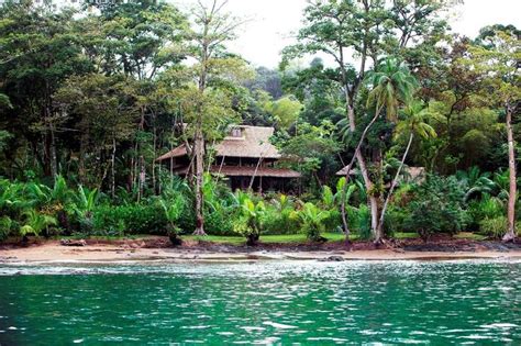 When Will The Amazon Rainforest Be Gone: Best Rainforest Resorts In ...