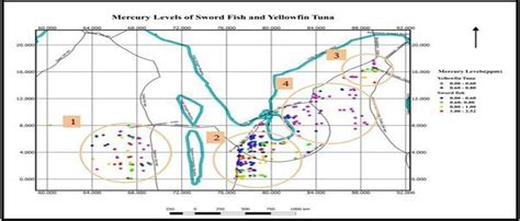 Mercury levels of both Swordfish and Yellowfin tuna | Download ...