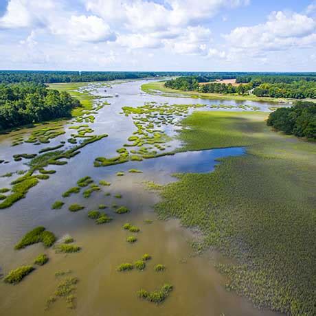 Sullivan's Island | Charleston Real Estate - William Means