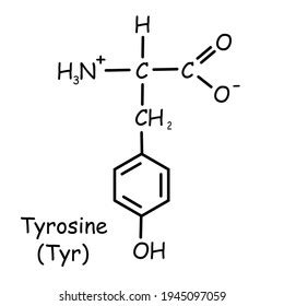 Amino Acid Chemical Structure Tyrosine Tyr Stock Illustration 1945097059 | Shutterstock