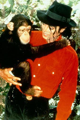 Bubbles the Chimp Photo (24856803) - Fanpop