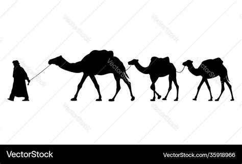 Silhouette caravan camels Royalty Free Vector Image