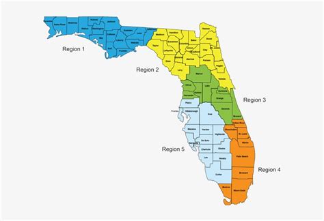 Putnam County Florida Map - Florida Transparent PNG - 600x488 - Free ...