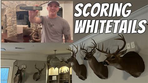 How to Score Whitetail Deer// Rackulator // Whitetail Bucks Scoring ...