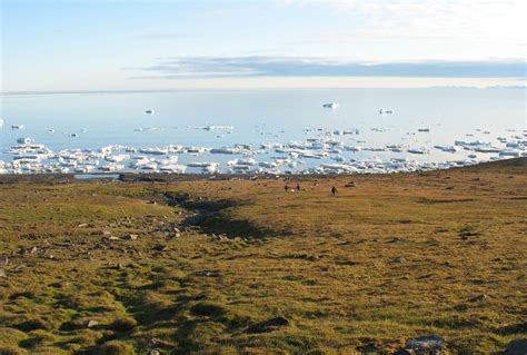 Svalbard - Climate Change