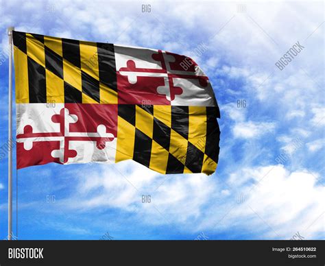 Flag State Maryland On Image & Photo (Free Trial) | Bigstock