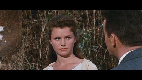 Wild River (1960)