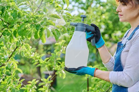 Premium Photo | Woman sprays fungicides on fruit trees from plant diseases and pests