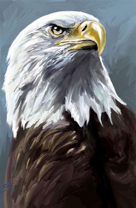 Speed painting: Eagle by Scott-Edward on deviantART | Animal paintings ...