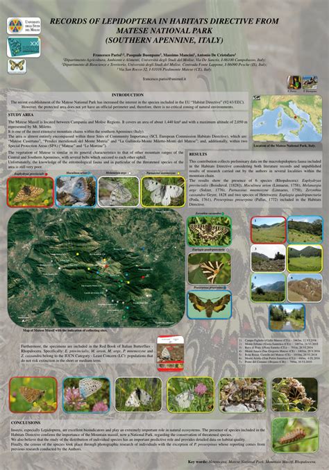 (PDF) RECORDS OF LEPIDOPTERA IN HABITATS DIRECTIVE FROM MATESE NATIONAL PARK (SOUTHERN APENNINE ...