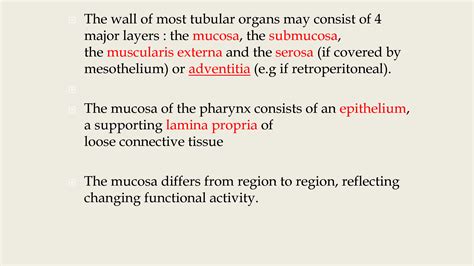 SOLUTION: Histology of pharynx larynx oesophagus thyroid parathyroid - Studypool