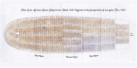 Slave Ship Diagram 1842 - 20X10 -Reproduction - Educational Historical Document | eBay