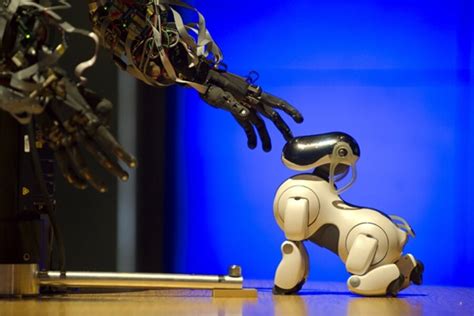 Mr. President, did you consider a robot dog? - CSMonitor.com