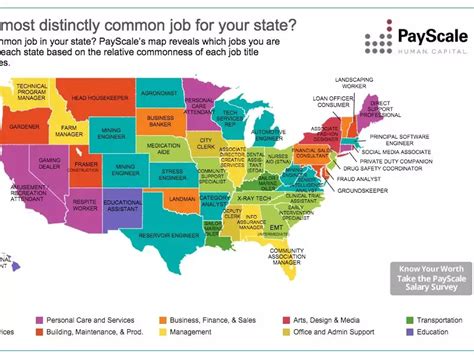 This map of jobs you're most likely to find in each state shows how different job markets are ...