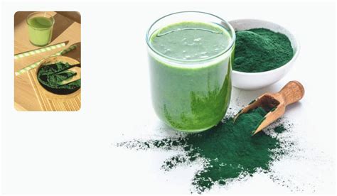 Benefits Of Spirulina Powder: Explore The Ultimate Superfood