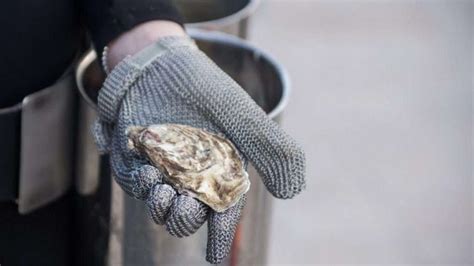 Best Oyster Shucking Gloves: To Shuck Oysters Quickly And Safely